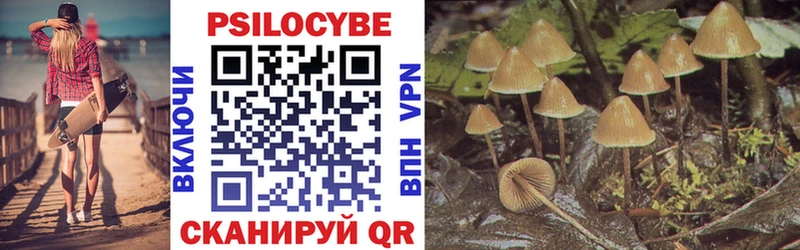 Псилоцибиновые грибы Psilocybine cubensis  Сасово 